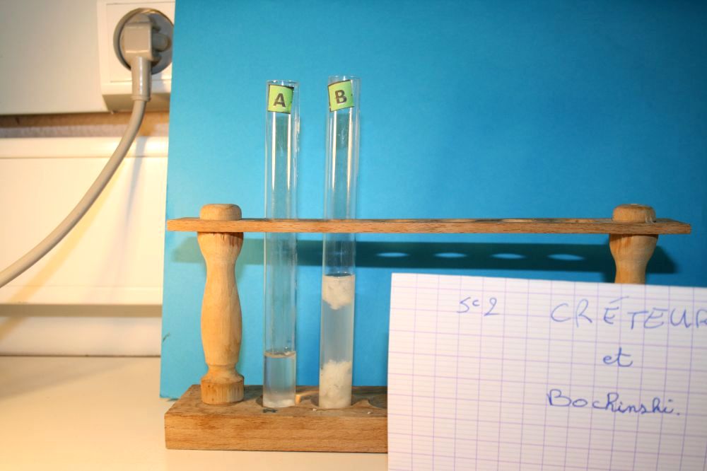 gal/LES_CINQUIEMES/ACTIVITE DIGESTION IN VITRO/Groupe_02/Groupe02_T_00h00min/Groupe02_temps__H__min_3.jpg